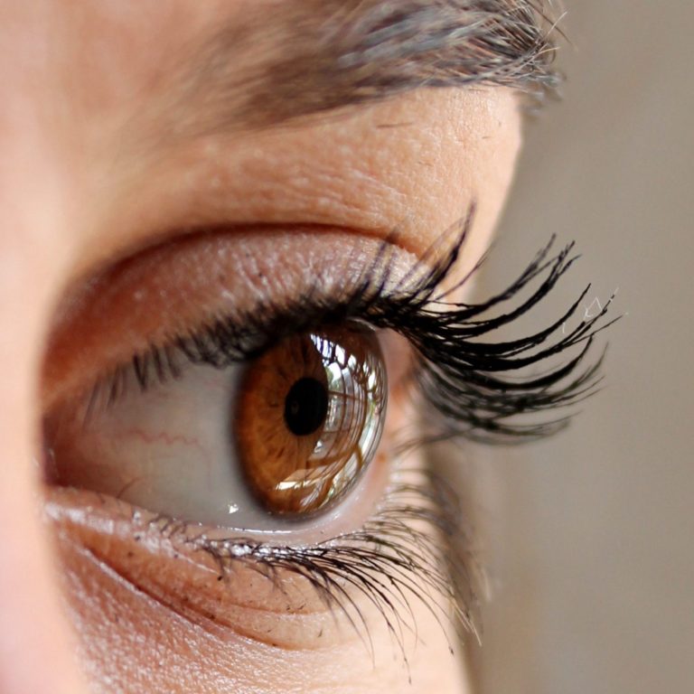 pexels-pixabay-63320 keriting bulu mata