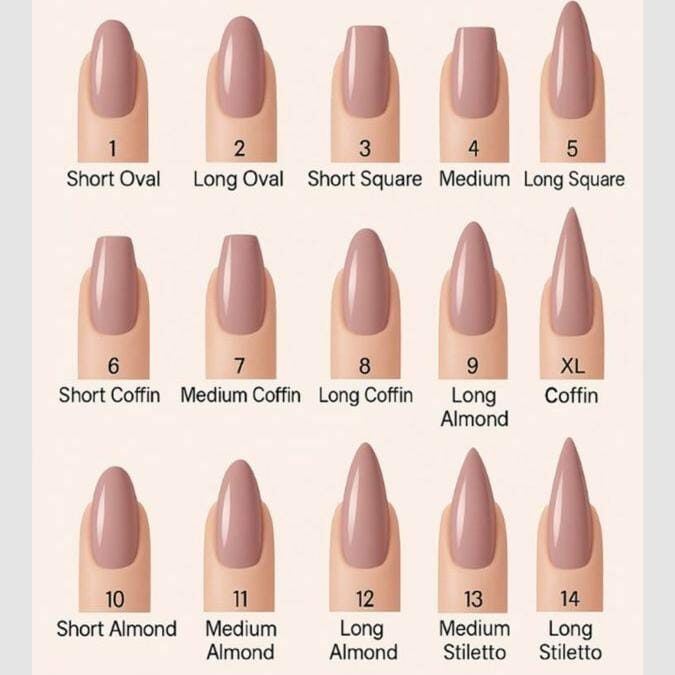 WhatsApp Image 2026-01-19 at 18.14.56